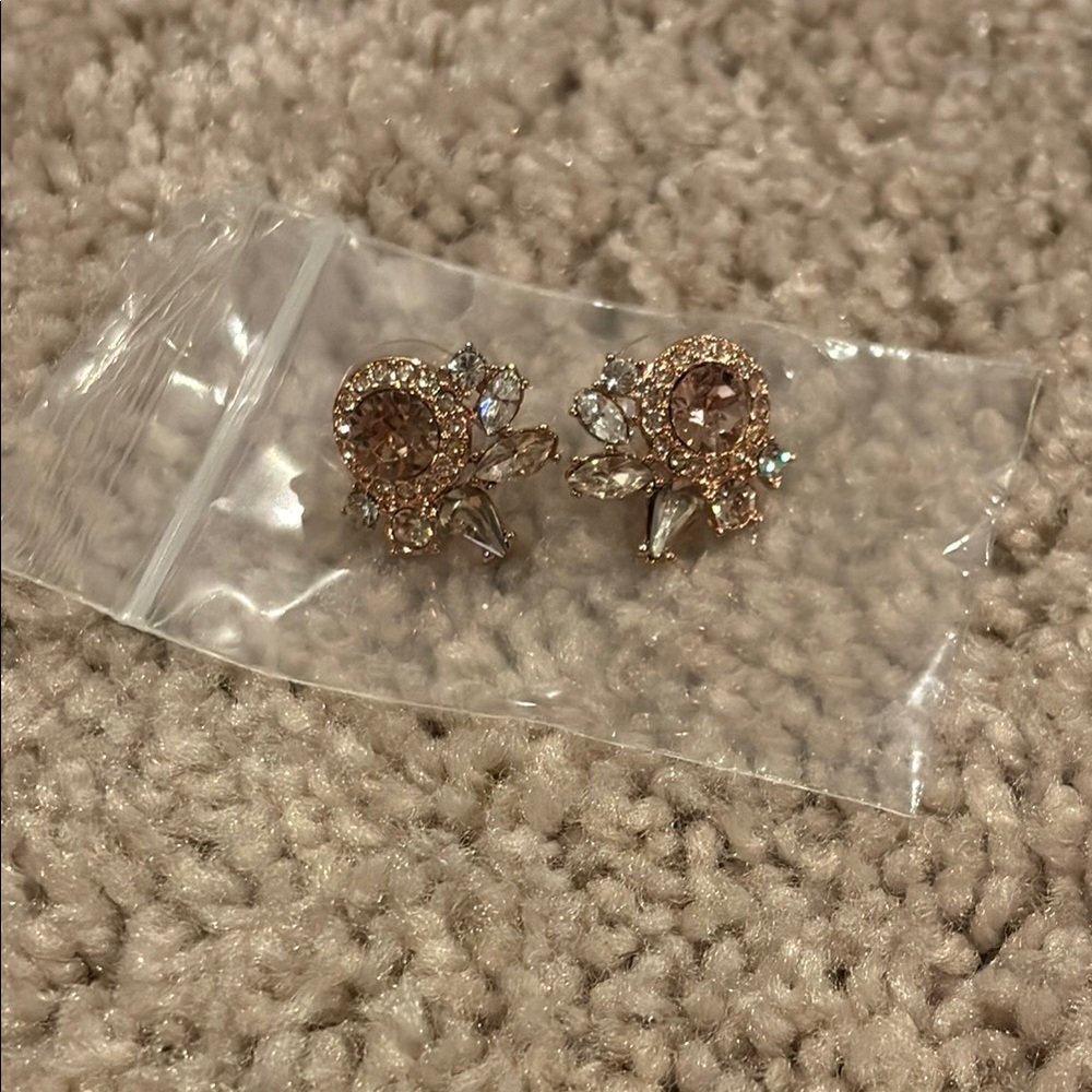 Elegant mixed metals Crystal Earrings